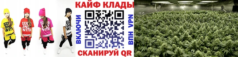 Купить наркотики цена Воскресенск Cocaine  Канабис  МЕФ  Галлюциногенные грибы  Гашиш 